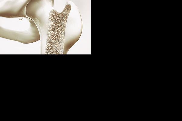 Zdjęcie nagłówkowe